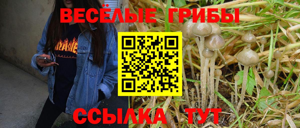 Галлюциногенные грибы ЛСД Лангепас