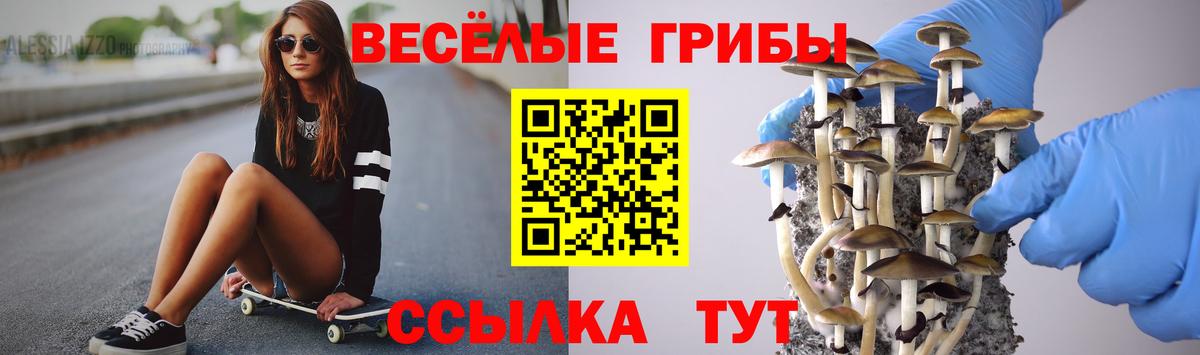 купить  цена  Вход с VPN  Лангепас  Псилоцибиновые грибы Magic Shrooms 